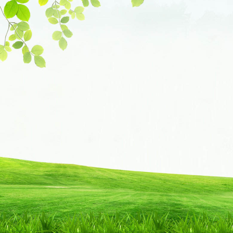 绿色清新草原背景图片
