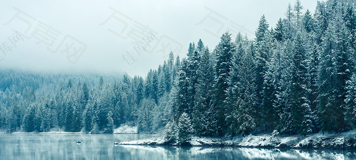 冬季雪景蓝天白云雾凇背景图